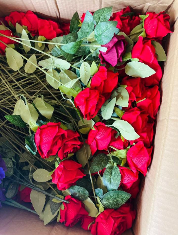 Red Rose 💋